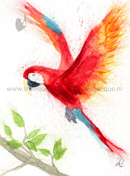 aquarel schilderij macaw
